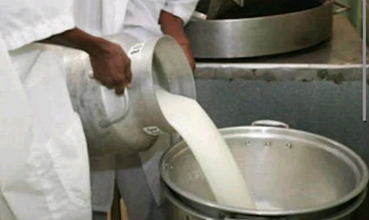 Le marché du lait au Mali